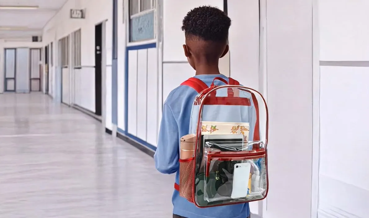 Bulk Clear Backpacks Wholesale for School 24 Pack Clear Backpacks for Boys, Girls, School, Stadium, Travel (Red Pack)